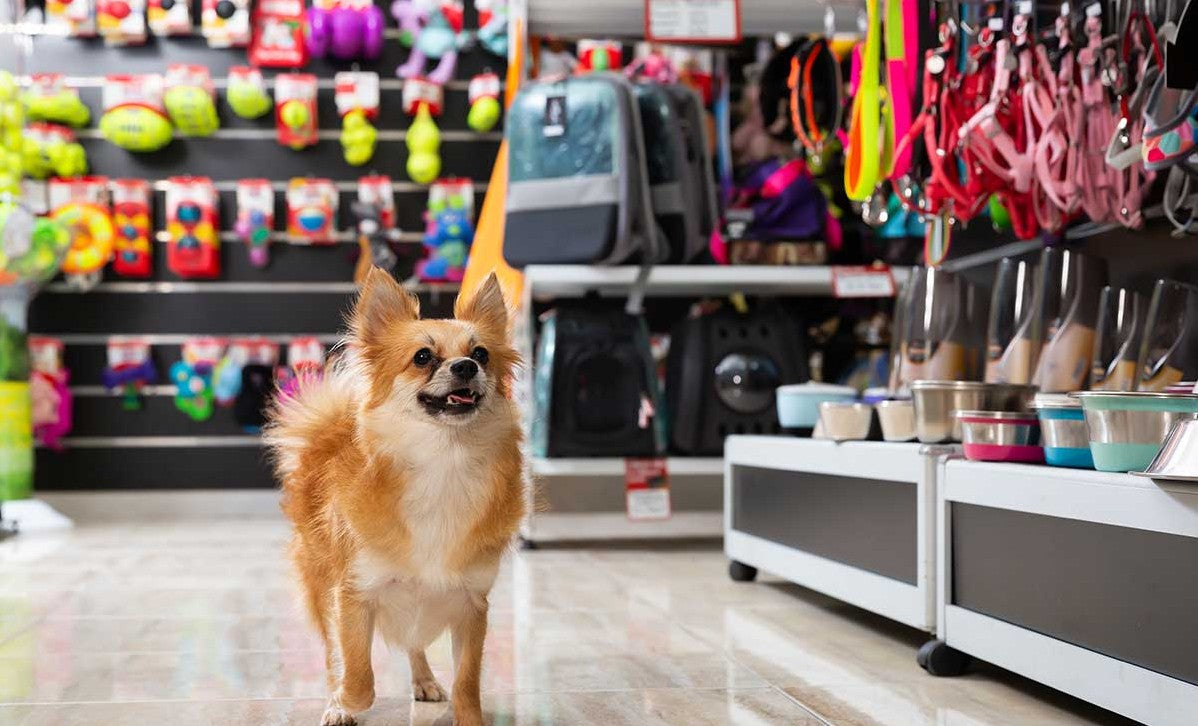 Wholesale Pet Supplies for Retail Pet Stores