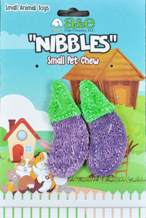 2 count AE Cage Company Nibbles Eggplant Loofah Chew Toys