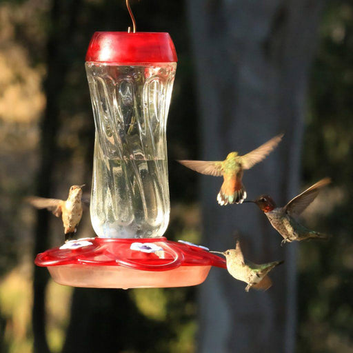 1 count More Birds Orion Glass Hummingbird Feeder