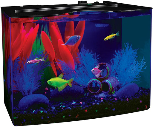 1 count GloFish Aquarium Kit with LED Light 5 Gallons