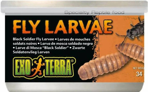 1.2 oz Exo Terra Canned Black Soldier Fly Larvae Specialty Reptile Food