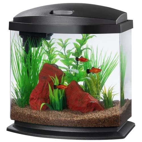 Aquariums and Tanks