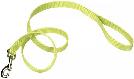 4 feet x 3/8"W Coastal Pet Single-Ply Nylon Dog Leash Lime Green
