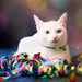 8-12"L x 3/8"W Coastal Pet Safe Cat Jeweled Buckle Adjustable Breakaway Collar Purple Glitter
