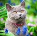 8-12"L x 3/8"W Coastal Pet Safe Cat Jeweled Buckle Adjustable Breakaway Collar Pink Glitter