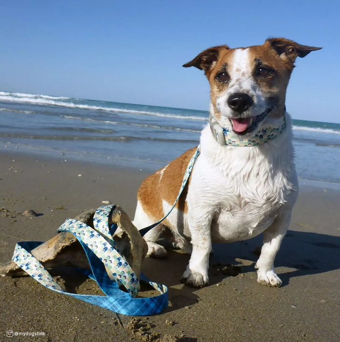 8-12"L x 3/4"W Coastal Pet Sublime Adjustable Dog Collar Gold Stripes