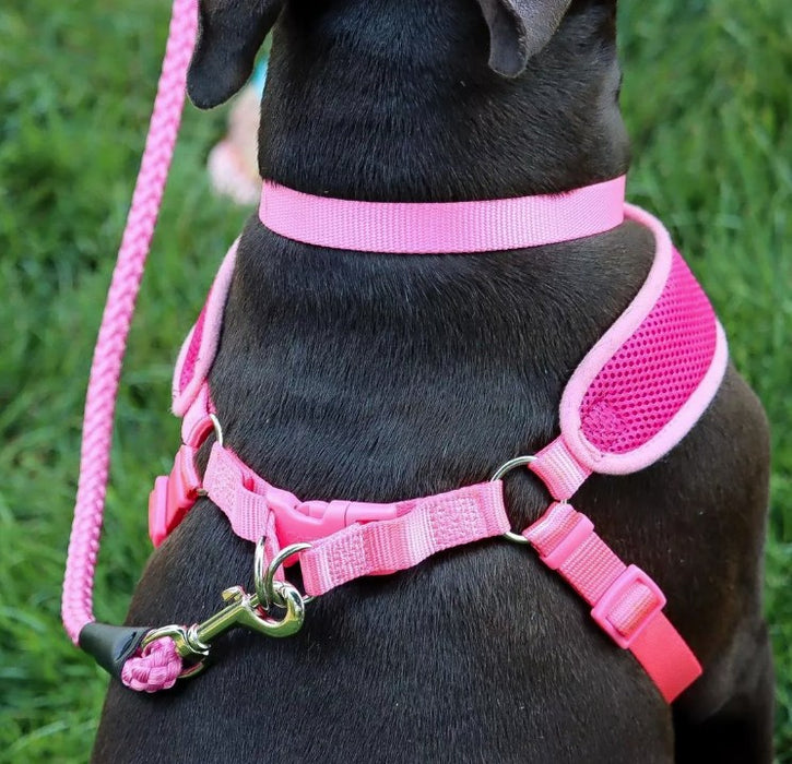 X-Small - 1 count Coastal Pet Comfort Soft Wrap Adjustable Dog Harness Orchid