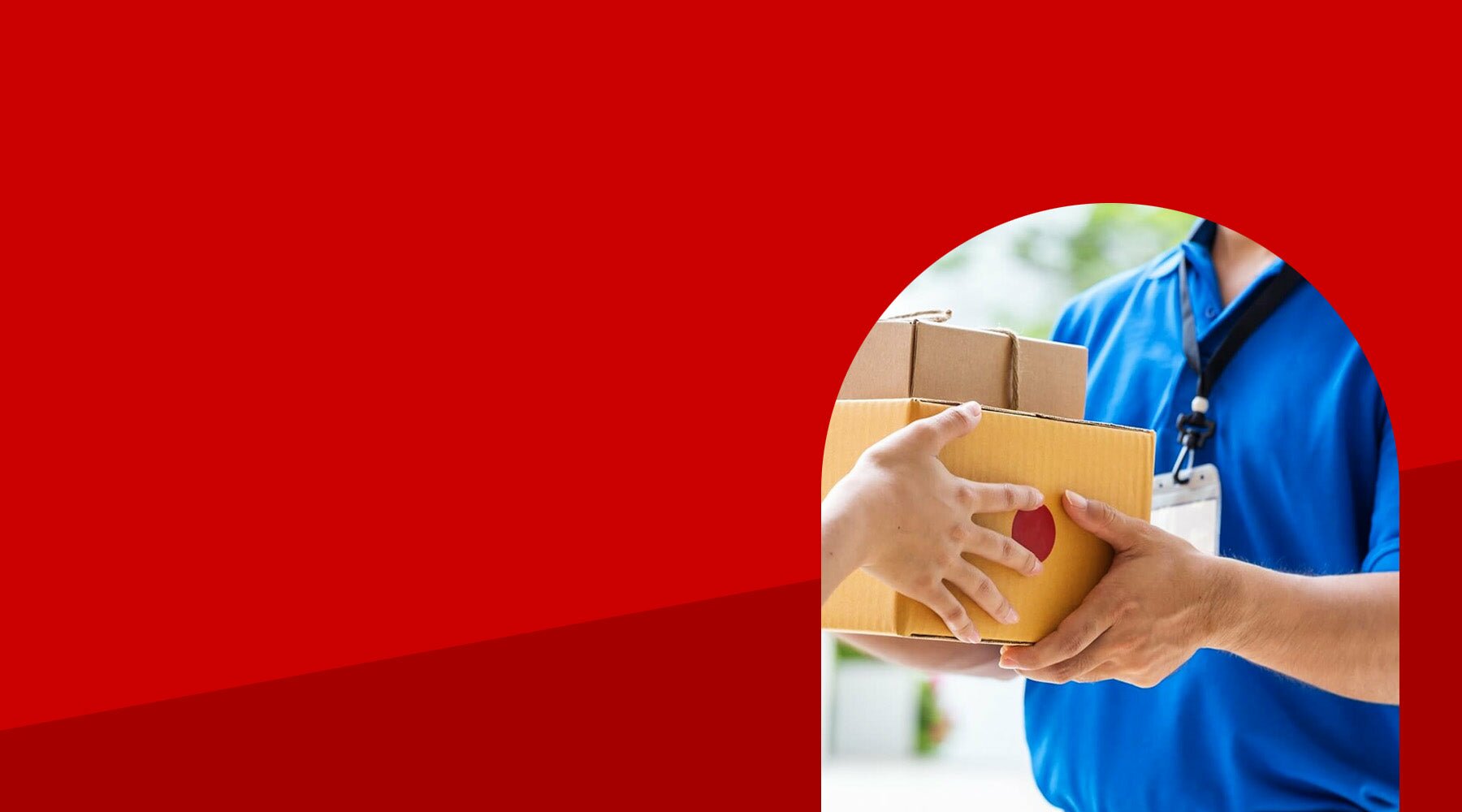 Drop ship wholesale pet supplies in the United States with www.PetWholesaleUSA.com