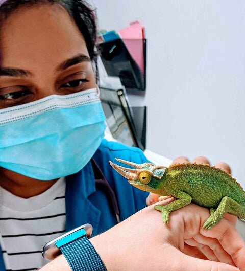 Wholesale Pet Supplies for Veterinarians, Groomers, Kennels, Trainers, Breeders, Pet Rescues, Pond or Aquarium Maintenance Companies