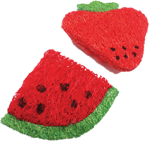 2 count AE Cage Company Nibbles Strawberry and Watermelon Loofah Chew Toys