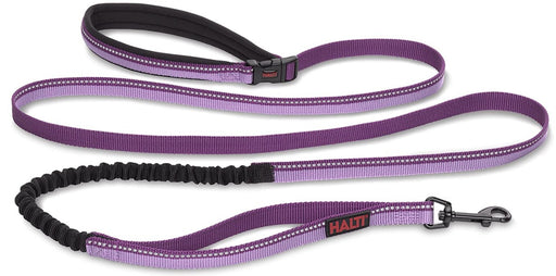 Large - 1 count Company of Animals Halti All In One Lead for Dogs Purple
