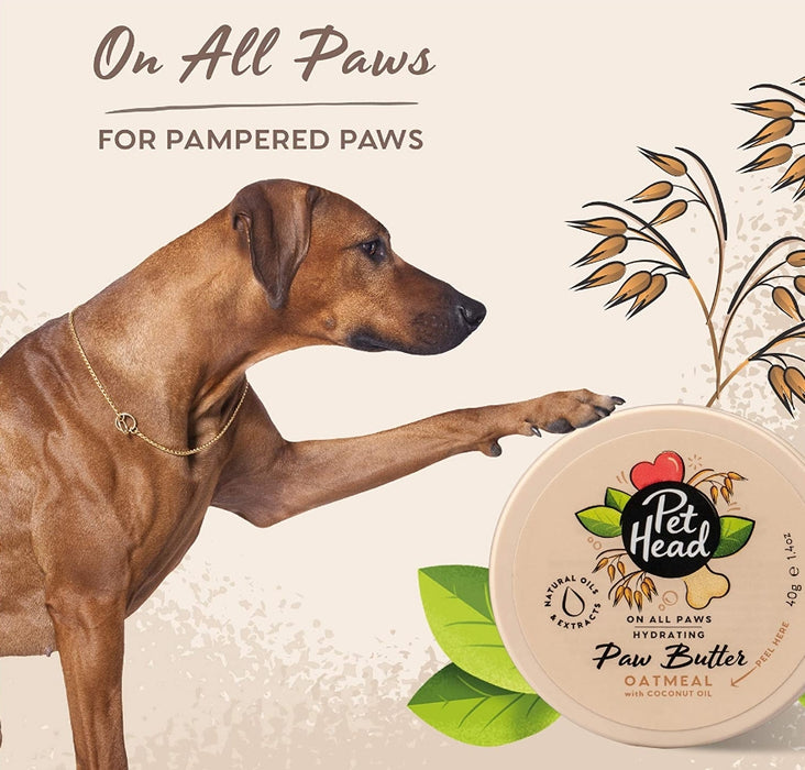 1.4 oz Pet Head Hydrating Paw Butter for Dogs Oatmeal with Coconut Oil