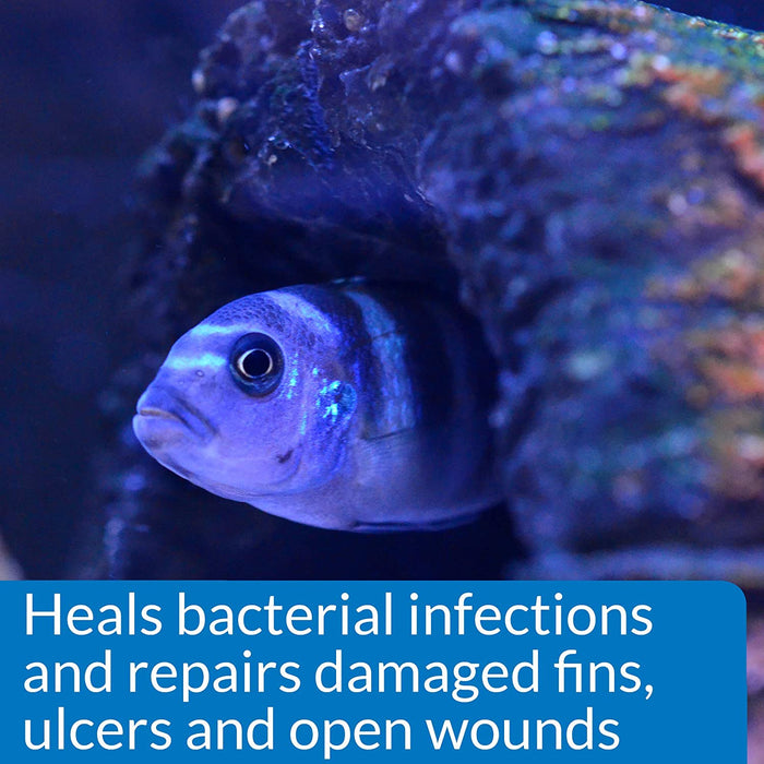 48 oz (3 x 16 oz) API MelaFix Treats Bacterial Infections for Freshwater and Saltwater Aquarium Fish