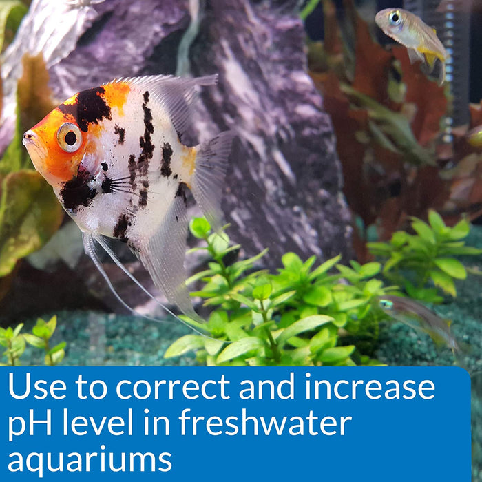 15 oz (12 x 1.25 oz) API pH Up Raises Aquarium pH for Freshwater Aquariums