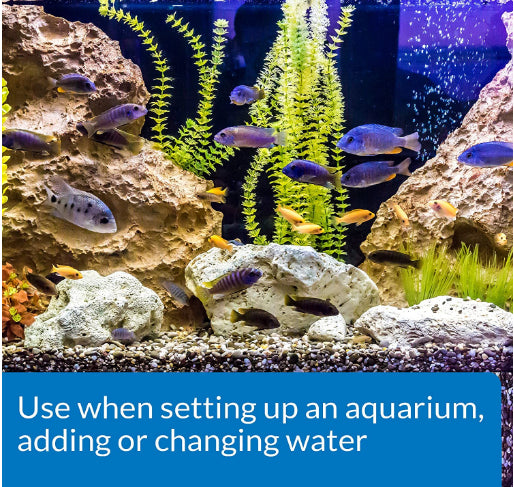 1 gallon API Tap Water Conditioner Detoxifies Heavy Metals and Dechlorinates Aquarium Water