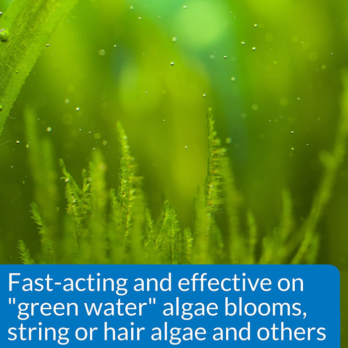 24 oz (3 X 8 oz) API AlgaeFix Controls Algae Growth for Freshwater Aquariums
