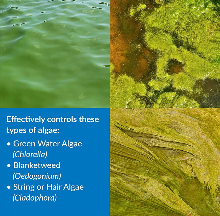 2 gallon (2 x 1 gal) API Pond AlgaeFix Controls Algae Growth and Works Fast