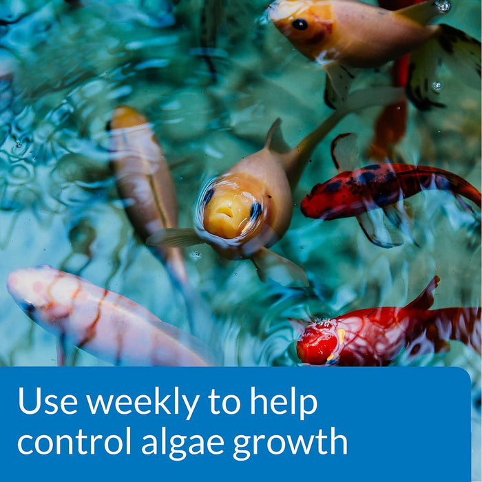 96 oz (3 x 32 oz) API Pond AlgaeFix Controls Algae Growth and Works Fast