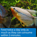 4.2 oz API Tropical Premium Pellets for Community Fish