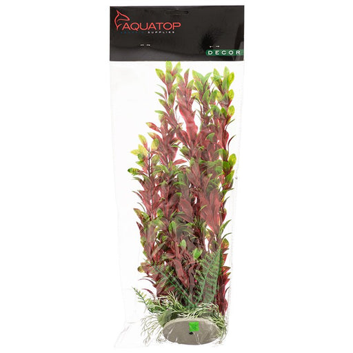 12" tall Aquatop Hygro Aquarium Plant Red and Green