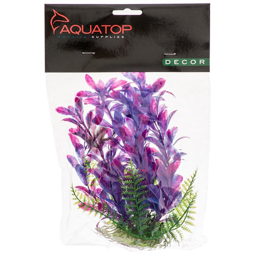 6" tall Aquatop Hygro Aquarium Plant Pink and Purple