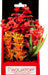 6" tall Aquatop Vibrant Wild Aquarium Plant Red