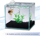 1 count Aqueon Betta Filter with Natural Plant