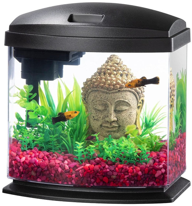 1 gallon Aqueon LED MiniBow 1 SmartClean Aquarium Kit Black