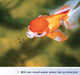 3 oz Aqueon Color Enhancing Goldfish Granules