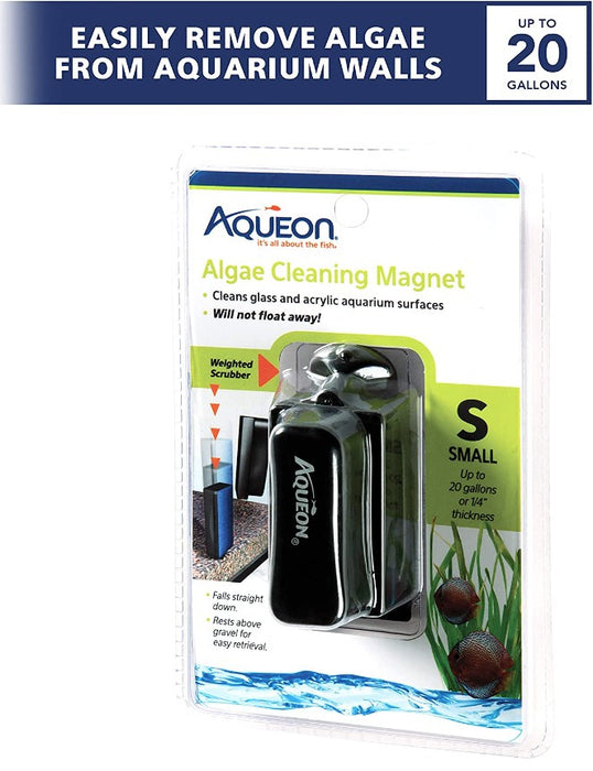 Small - 6 count Aqueon Algae Cleaning Magnet