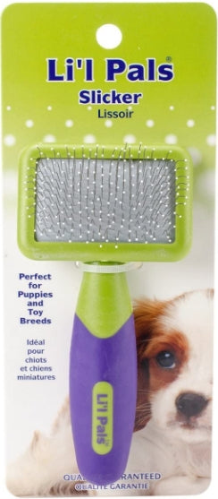 1 count Lil Pals Tiny Slicker Brush for Small Dogs and Puppies