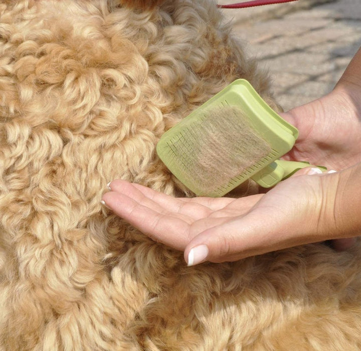 Medium - 1 count Safari Self Cleaning Slicker Brush for Dogs