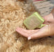 Medium - 1 count Safari Self Cleaning Slicker Brush for Dogs