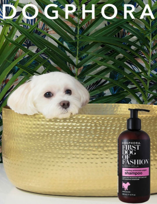 16 oz Dogphora First Dog of Fashion Shampoo