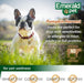 6 oz Emerald Pet Pumpkin Harvest Mini Trainers Chewy Dog Treats