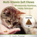 120 count Four Paws Healthy Promise Multi-Vitamin Supplement for Cats