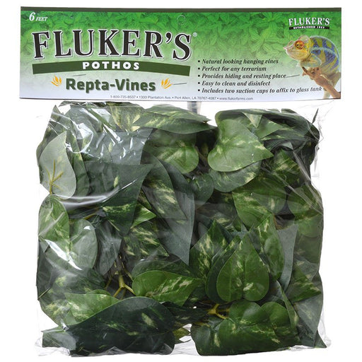 1 count Flukers Repta-Vines Pothos for Terrariums