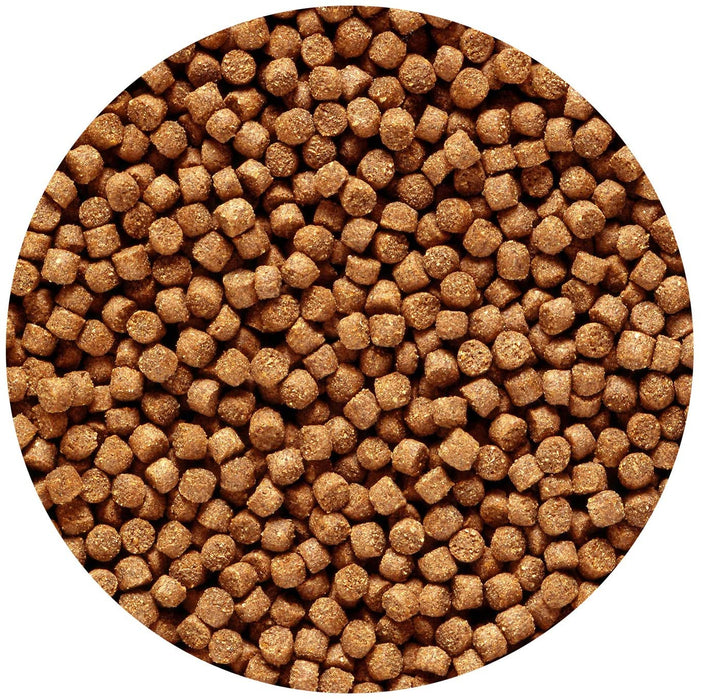 17.6 oz Hikari Wheat Germ Floating Mini Pellet Food