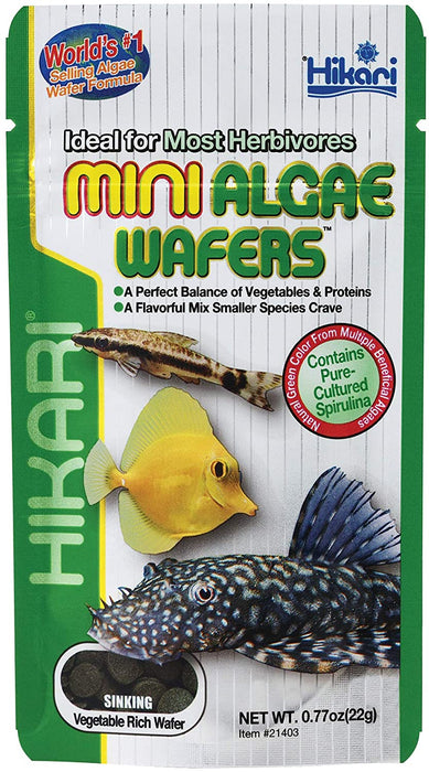 0.77 oz Hikari Mini Algae Wafers Sinking Herbivore Food
