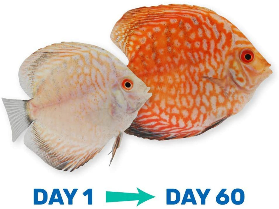 2.2 lb Hikari Vibra Bites Tropical Fish Food