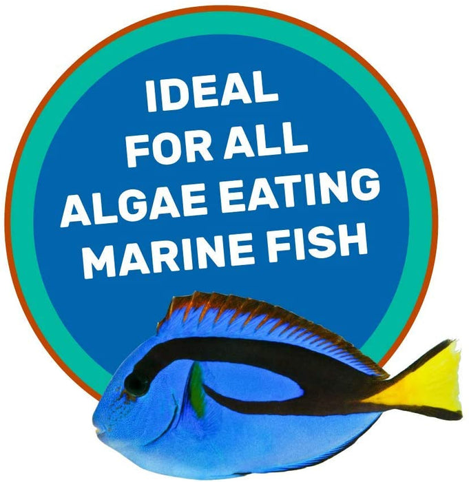 3.17 oz Hikari Saki-Hikari Marine Herbivore Sinking Medium Pellet Food