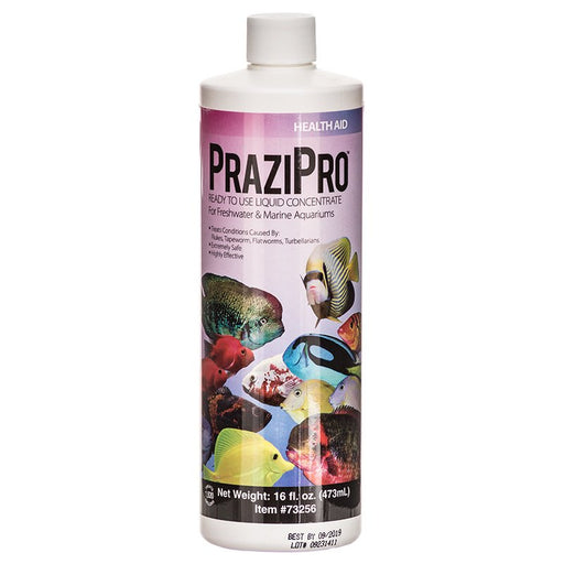 16 oz Aquarium Solutions PraziPro Parasite Treatment