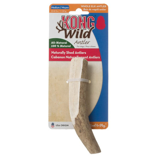 1 count KONG Wild Whole Elk Antler for Dogs Medium