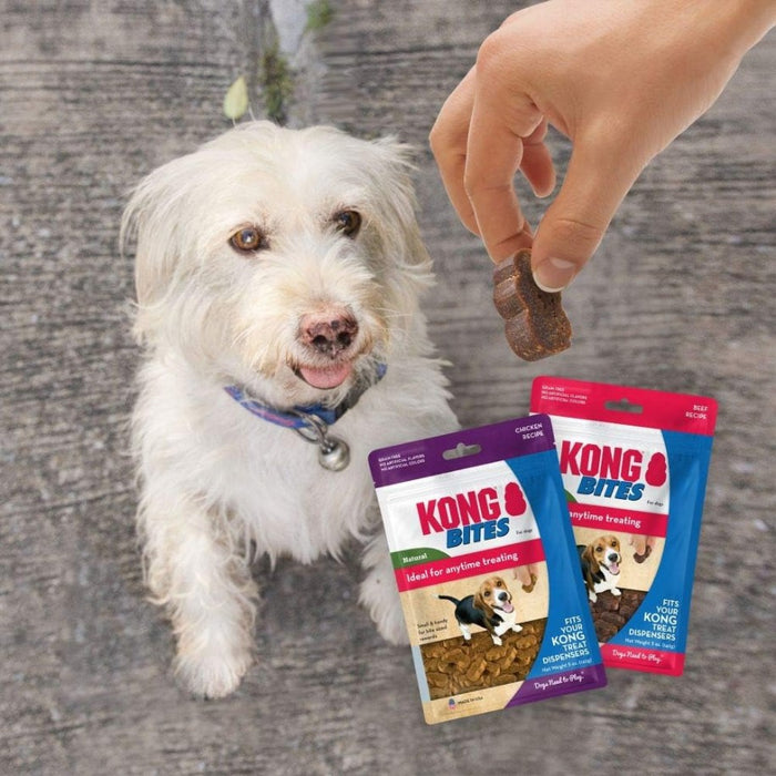 5 oz KONG Bites Beef Flavor Treats for Dogs