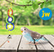 6 count JW Pet Insight Triple Mirror