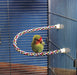 Small - 1 count JW Pet Flexible Multi-Color Comfy Rope Perch 14" Long for Birds