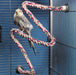 Large - 3 count JW Pet Flexible Multi-Color Comfy Rope Perch 36" Long for Birds
