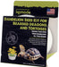 1 count Komodo Dandelion Seed Kit for Bearded Dragons and Tortoises