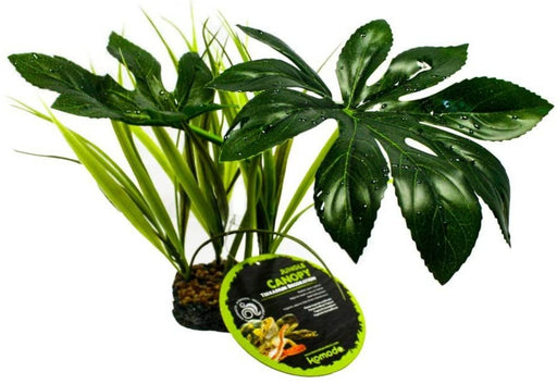 1 count Komodo Jungle Canopy Terrarium Plant