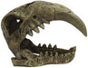 Large - 1 count Komodo Saber Tooth Skull Terrarium Decoration